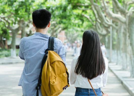 《表彰大学生创业给予特别奖励政策‌扶持文件》